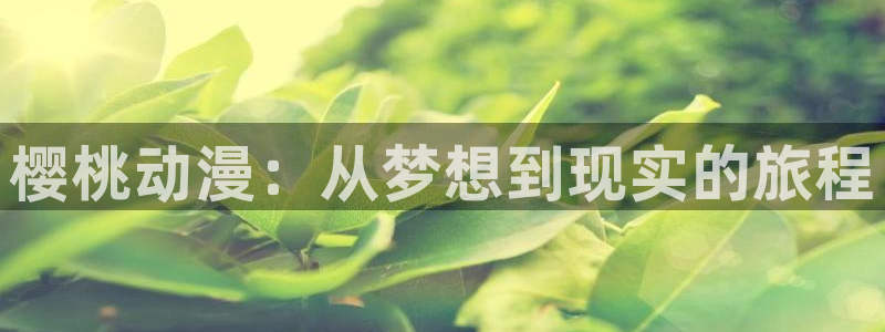 囧次元app下载官网