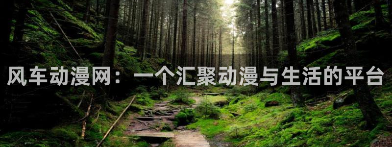 囧次元在线：风车动漫网：一个汇聚动漫与生活的平台