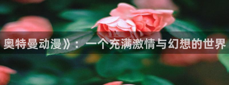 囧次元官方网址：奥特曼动漫》：一个充满激情与幻想的世界