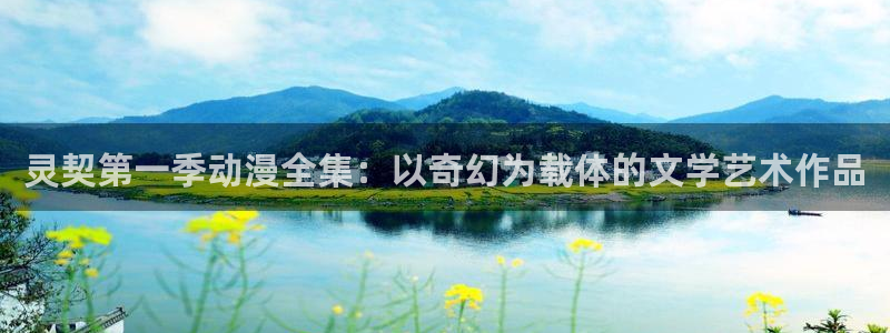 囧囧次元：灵契第一季动漫全集：以奇幻为载体的文学艺术作品