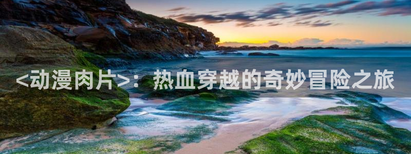 囧次元官方官网入口最新：<动漫肉片>：热血穿越的奇妙冒险之旅