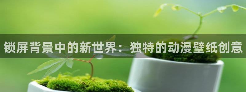 囧次元最新版本：锁屏背景中的新世界：独特的动漫壁纸创意