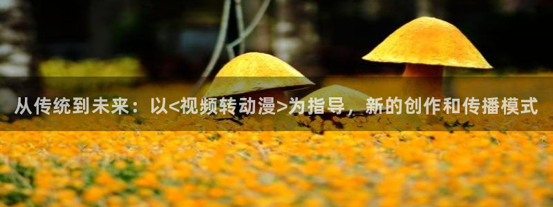 囧次元官方官网入口最新：从传统到未来：以<视频转动漫>为指导，新的创作和传播模式